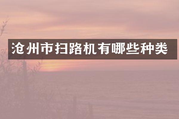 沧州市扫路机有哪些种类