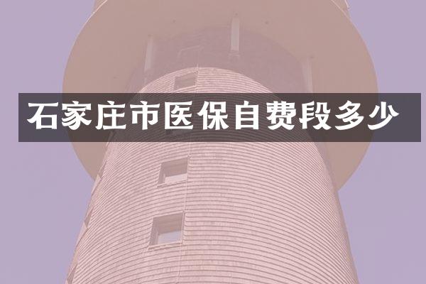 石家庄市医保自费段多少