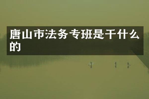 唐山市法务专班是干什么的