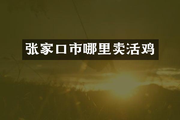张家口市哪里卖活鸡