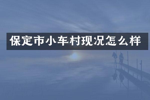 保定市小车村现况怎么样