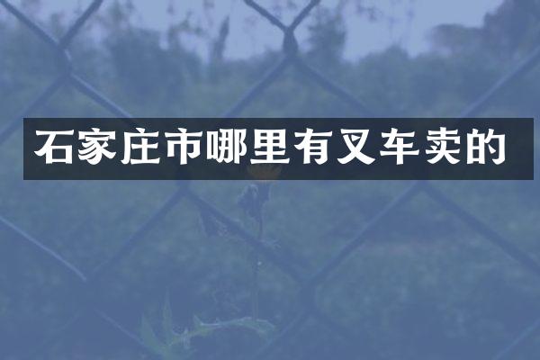 石家庄市哪里有叉车卖的