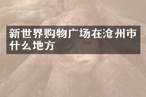 新世界购物广场在沧州市什么地方