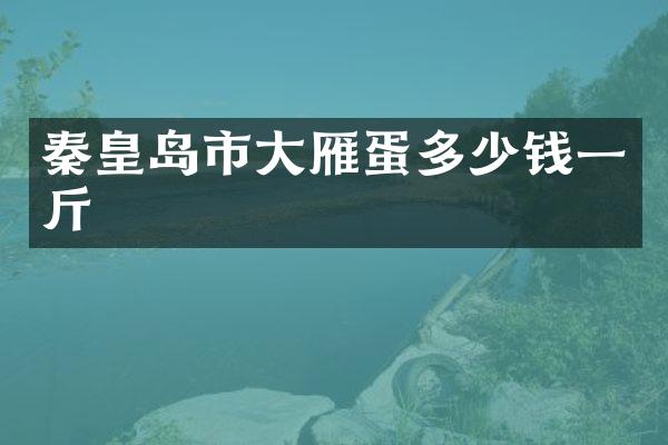 秦皇岛市大雁蛋多少钱一斤