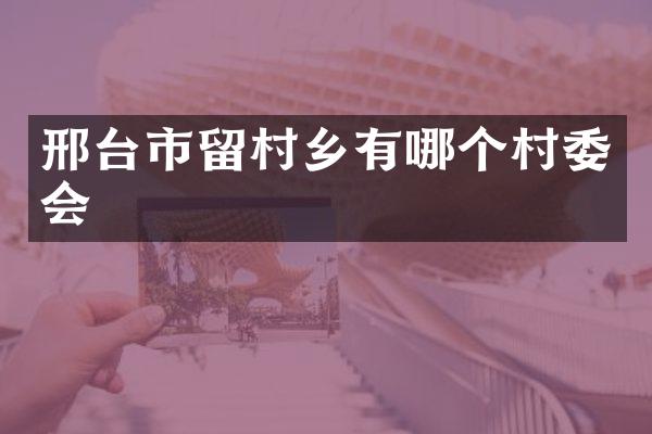 邢台市留村乡有哪个村委会