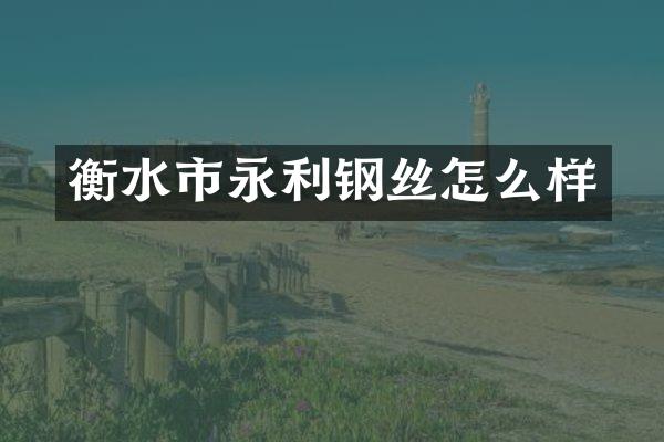 衡水市永利钢丝怎么样