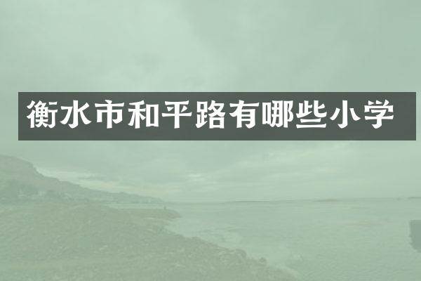 衡水市和平路有哪些小学
