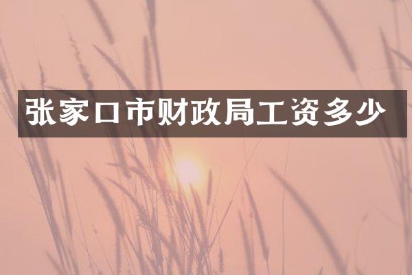 张家口市财政局工资多少