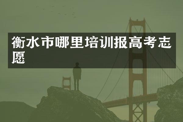 衡水市哪里培训报高考志愿