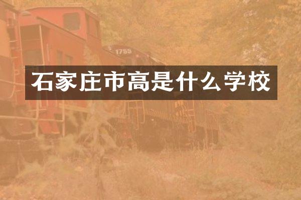 石家庄市高是什么学校