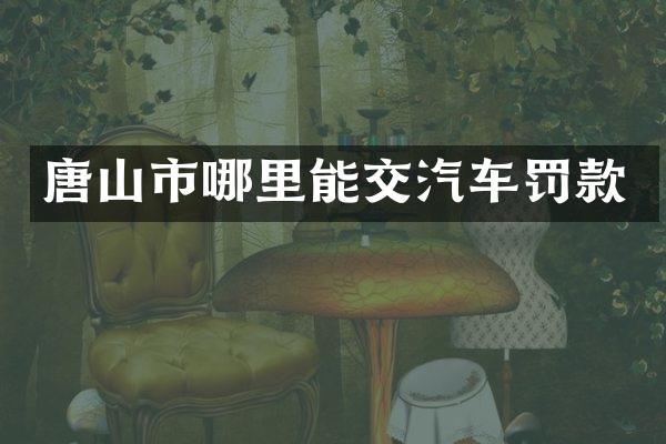 唐山市哪里能交汽车罚款