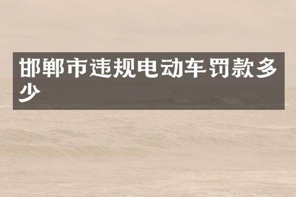 邯郸市违规电动车罚款多少
