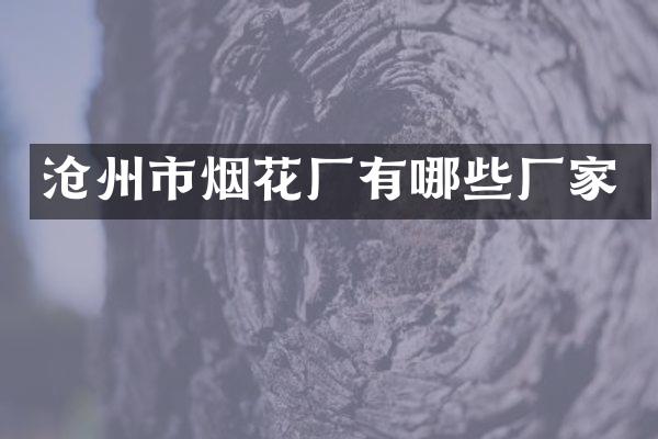 沧州市烟花厂有哪些厂家