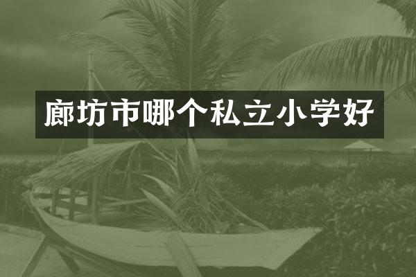 廊坊市哪个私立小学好