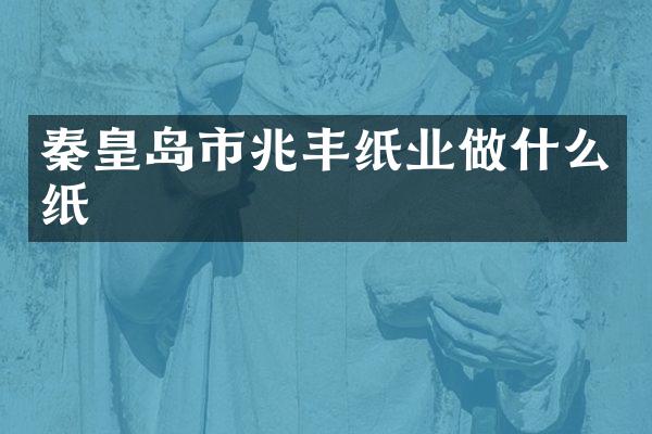 秦皇岛市兆丰纸业做什么纸