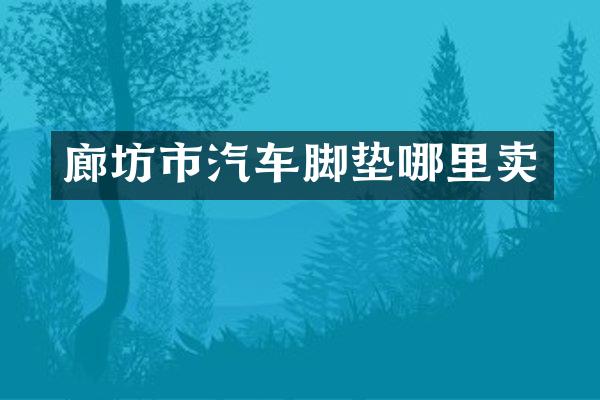 廊坊市汽车脚垫哪里卖