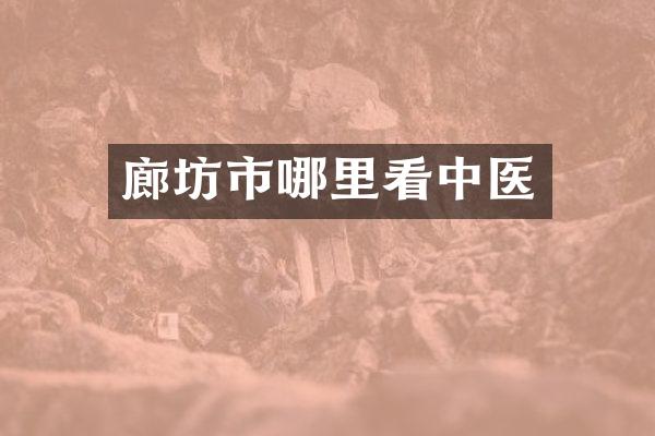 廊坊市哪里看中医