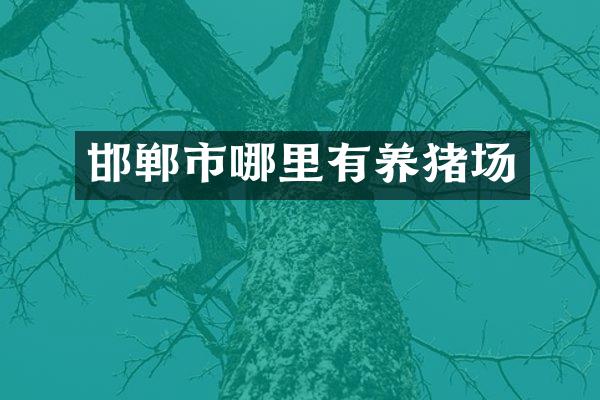 邯郸市哪里有养猪场