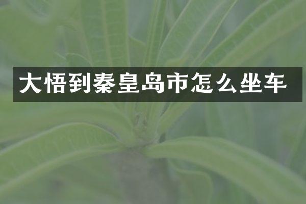 大悟到秦皇岛市怎么坐车