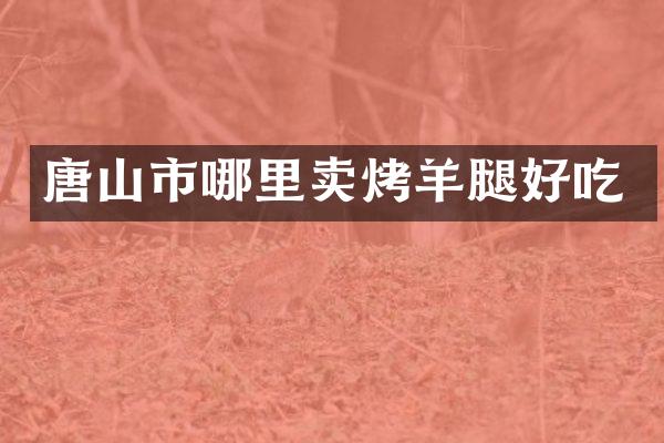 唐山市哪里卖烤羊腿好吃