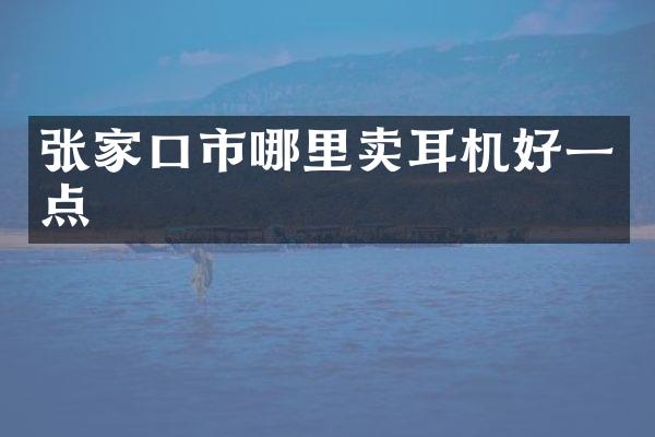 张家口市哪里卖耳机好一点
