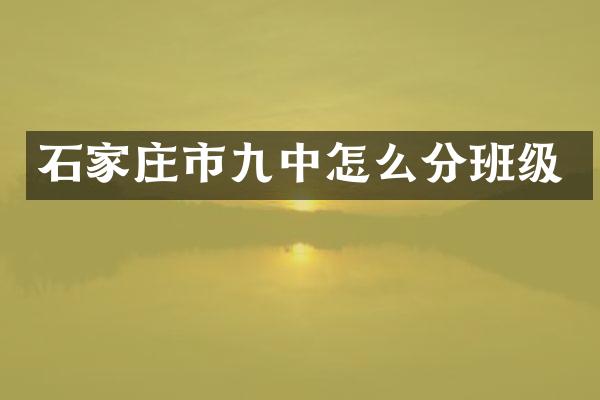 石家庄市九中怎么分班级
