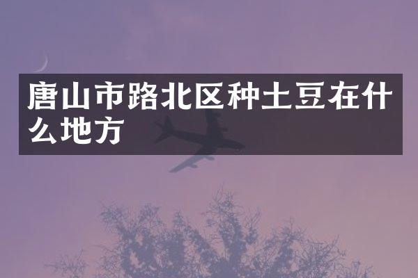 唐山市路北区种土豆在什么地方