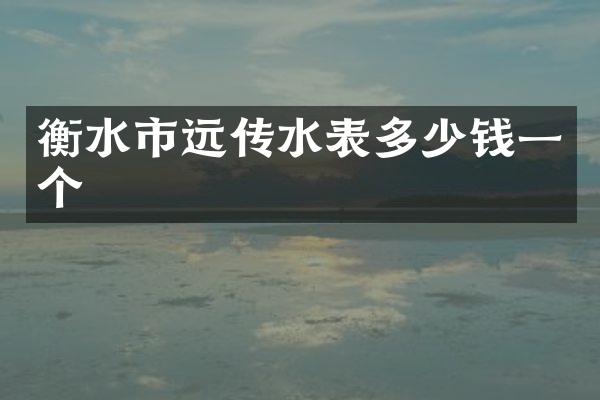 衡水市远传水表多少钱一个