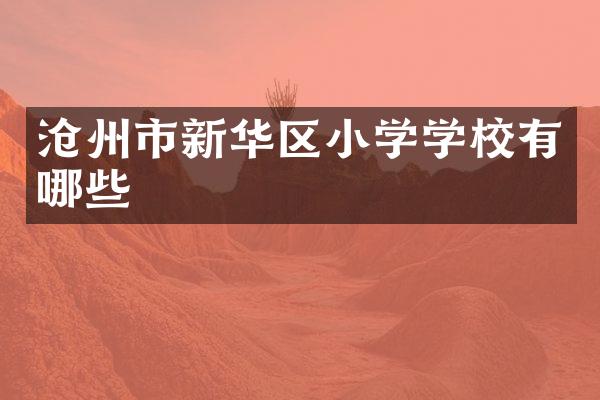 沧州市新华区小学学校有哪些