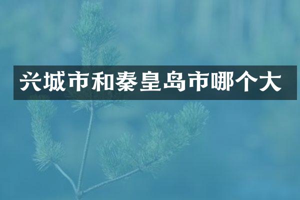 兴城市和秦皇岛市哪个大