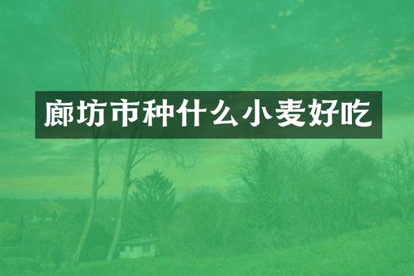 廊坊市种什么小麦好吃