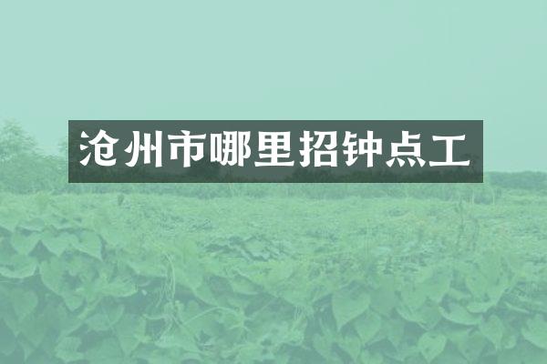 沧州市哪里招钟点工