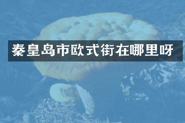 秦皇岛市欧式街在哪里呀