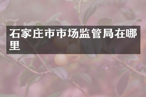 石家庄市市场监管局在哪里