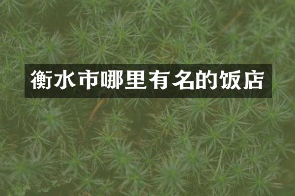 衡水市哪里有名的饭店