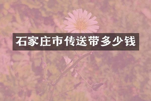 石家庄市传送带多少钱