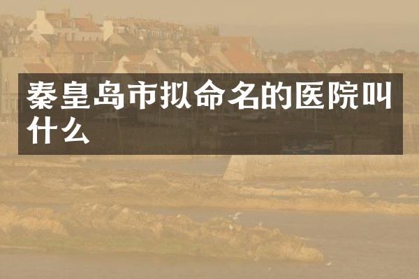 秦皇岛市拟命名的医院叫什么