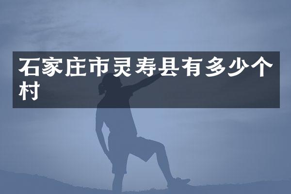 石家庄市灵寿县有多少个村