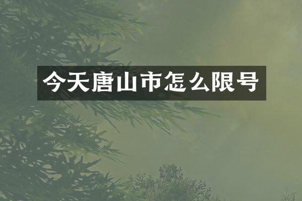 今天唐山市怎么限号