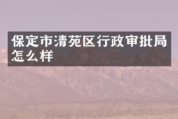 保定市清苑区行政审批局怎么样
