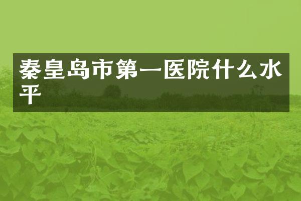 秦皇岛市第一医院什么水平