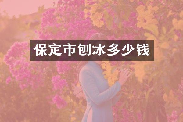保定市刨冰多少钱
