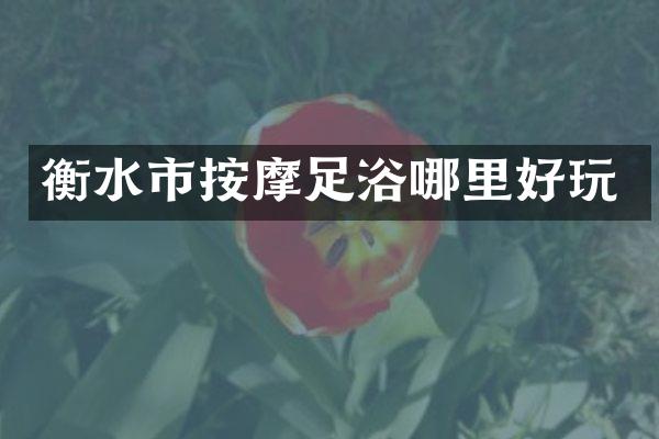衡水市按摩足浴哪里好玩