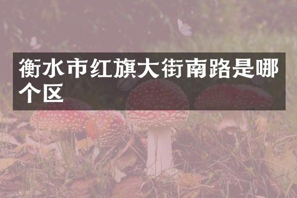 衡水市红旗大街南路是哪个区