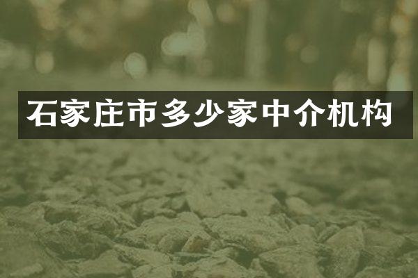 石家庄市多少家中介机构