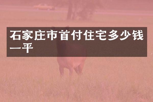 石家庄市首付住宅多少钱一平