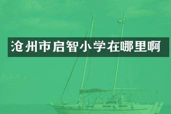 沧州市启智小学在哪里啊