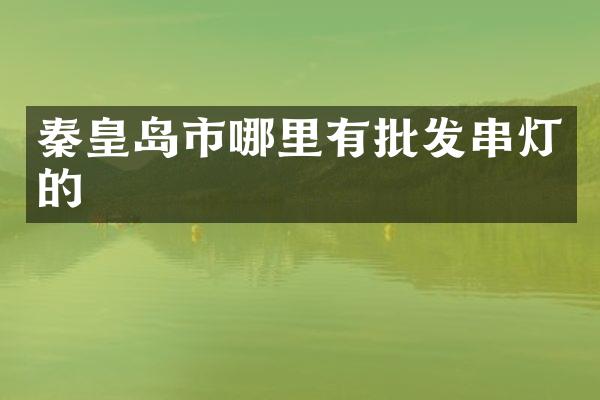 秦皇岛市哪里有批发串灯的