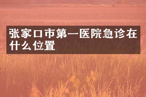 张家口市第一医院急诊在什么位置