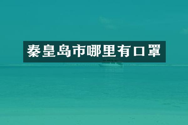 秦皇岛市哪里有口罩